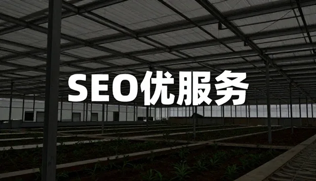网络技术环境下软件开发的使用与维护策略